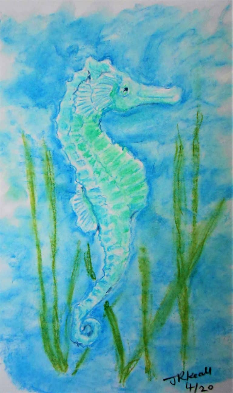 Wisdom From Beyond The Veil ~ Guidance from the Seahorse 2